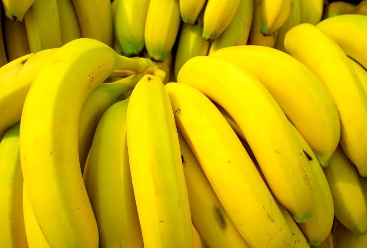 varias pencas de banana para exemplificar os benefícios da banana