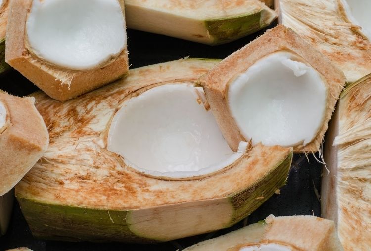 polpa branca de coco verde usada para iogurte caseiro vegano